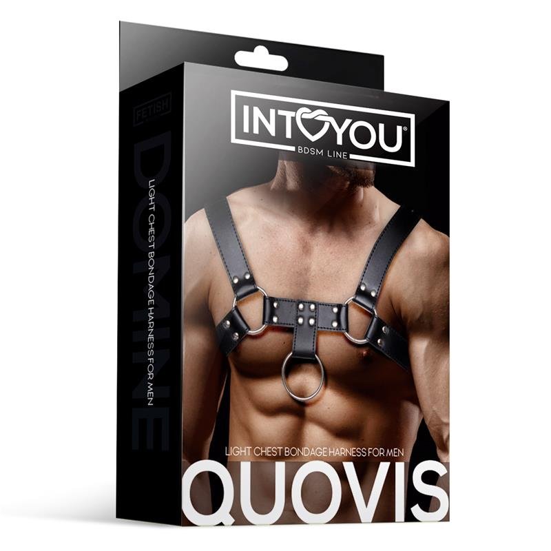 Quovis Arn?s Masculino para Bondage Cuero Vegano - Imagen 4
